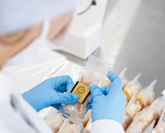 荒川ひまわり：イメージ画像